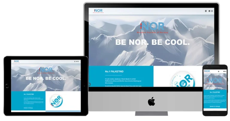Norsnus - Webdesign und Umsetzung 2Punkt Online Marketing